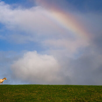 DSC00922_2 DSC00922_2